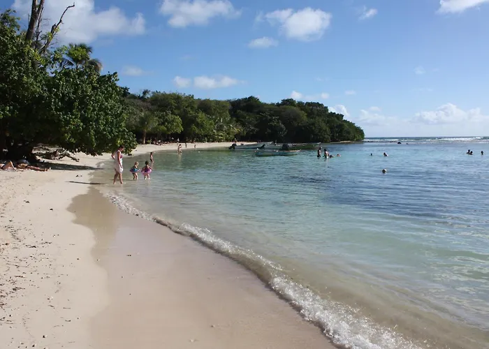 Grand T3 - Petit-Havre - Vue Sur Mer - Plage 5 Mns A Pied